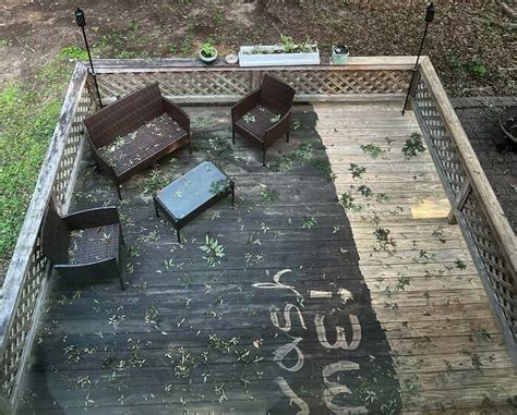 Image result for Power Washing Fails