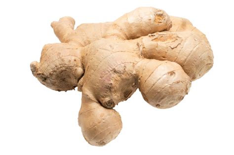 Image result for Ginger Root Washing