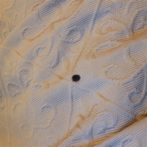 QUALITY INN & SUITES MILLVILLE - VINELAND - Prices & Hotel Reviews (NJ)