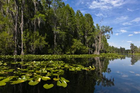 U.S. Road Trip That Hits Major Landmarks in 48 States
