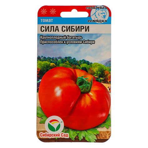 Семена Томат "Сила Сибири", 20 шт (7653662) - Купить по цене от 22.40 ...
