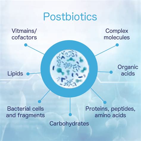 What is Postbiotics? – FRESHLITE USA | Japan #1 Natural Postbiotics