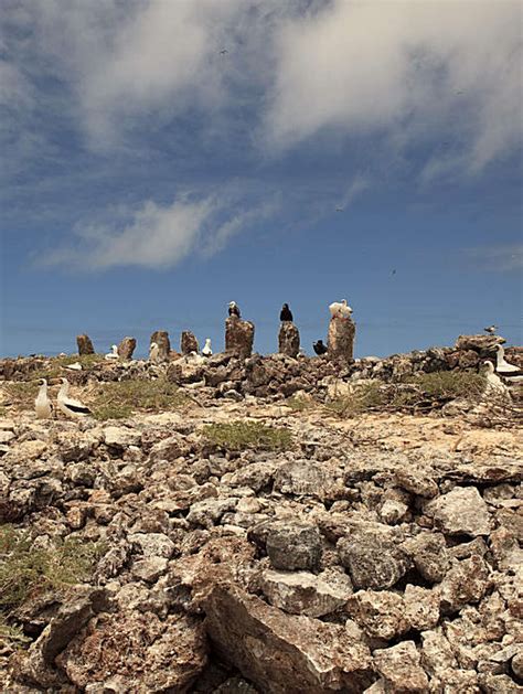 Papahanaumokuakea: Hawaii's new UNESCO site a marine wonderland