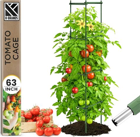 Tomato Cage Premium Large 63" Galvanized Steel Trellis - TikTok Shop
