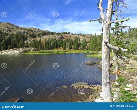 Blue Lake in Mountains of Idaho Stock Photo - Image of environmental ...