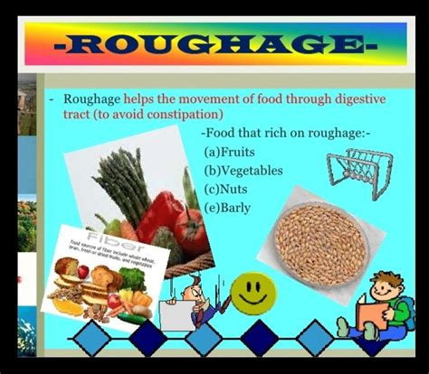 what is functions roughage - Brainly.in