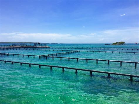 Islas de Rosario Photos - Featured Images of Islas de Rosario ...