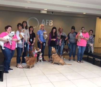 AFB International Office Photos