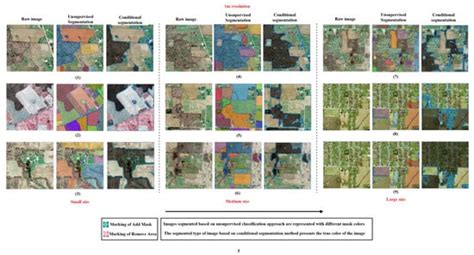 Evaluating the Efficacy of Segment Anything Model for Delineating ...