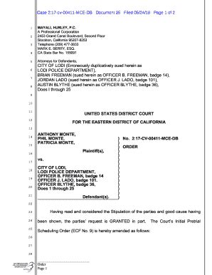 Fillable Online 17cv411.o.0523.AM.docx Fax Email Print - pdfFiller