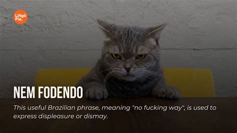 15+ Easy Portuguese Insults And Curse Words (With Context)