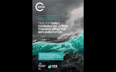 Q&A: IUCN Red List of Threatened Species Corals Assessment - Story | IUCN