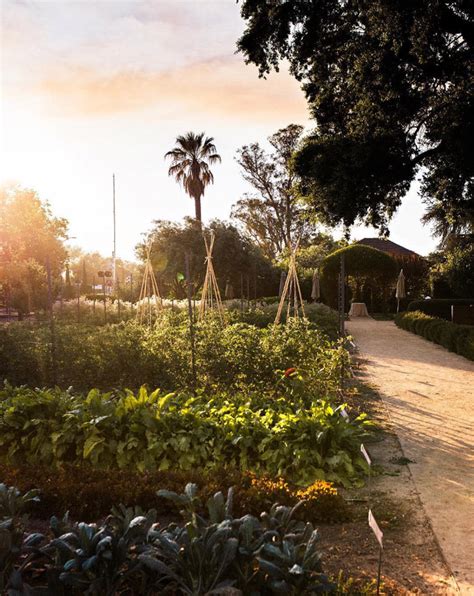Farm to Table – The Slow Farm - Sustainable Local Organic Wholesome