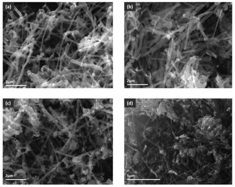 Synthesis and Characterization of MWCNT-COOH/Fe3O4 and CNT-COOH/Fe3O4 ...