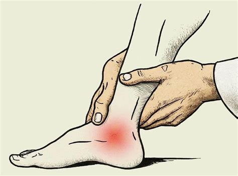 Image result for Rotation Joint Movement