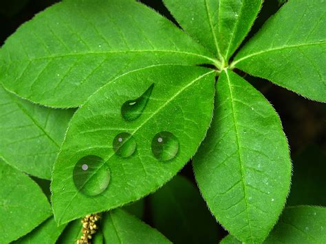 Installation Photoshop 的图像结果