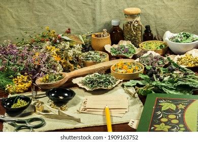 Nature Medicine 的图像结果