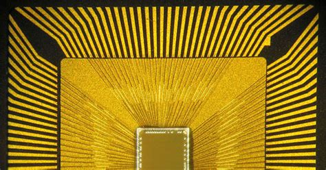 Primal Behavior Chip 的图像结果