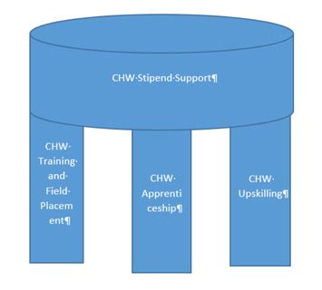 Image result for CHW Workforce Development