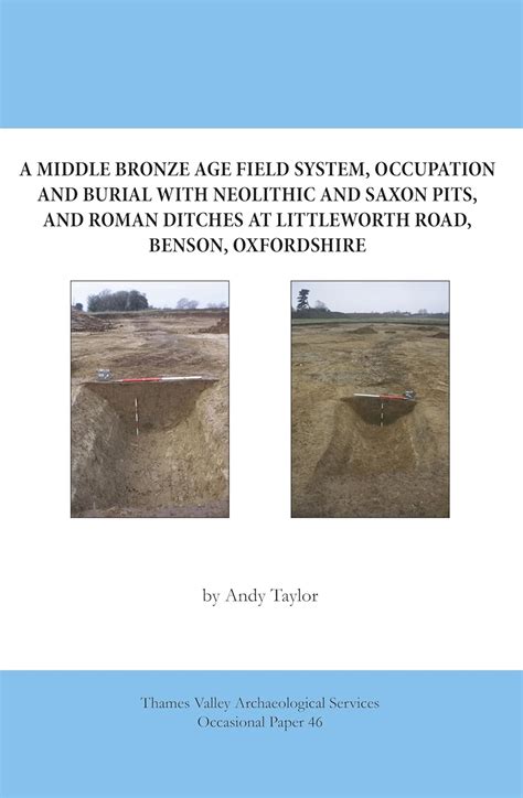 Buy A Middle Bronze Age field system, occupation and burial with ...