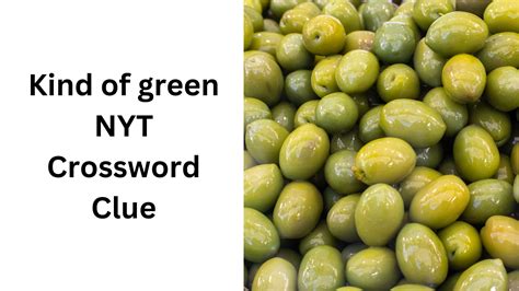 Genus Of Olives Crossword Clue