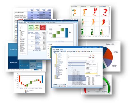 Oracle BICS 的图像结果