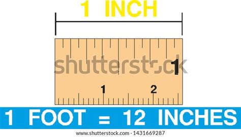 Image result for Inches Scale Vector