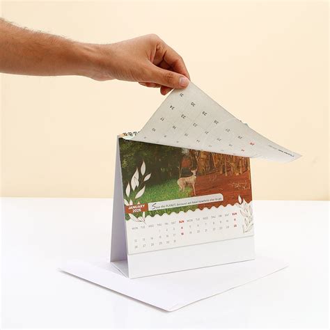 Environment 2026 Desk Calendar with Envelope | Shop Archies.