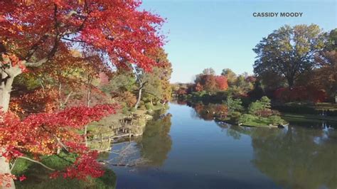 Foliage forecast: When to see vibrant fall leaves in St. Louis | ksdk.com