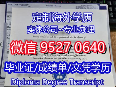 大学的毕业证书上的证书编号可以从哪里查到?-