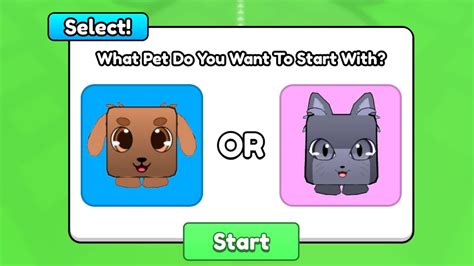 Image result for Speed Simulator Pet Code