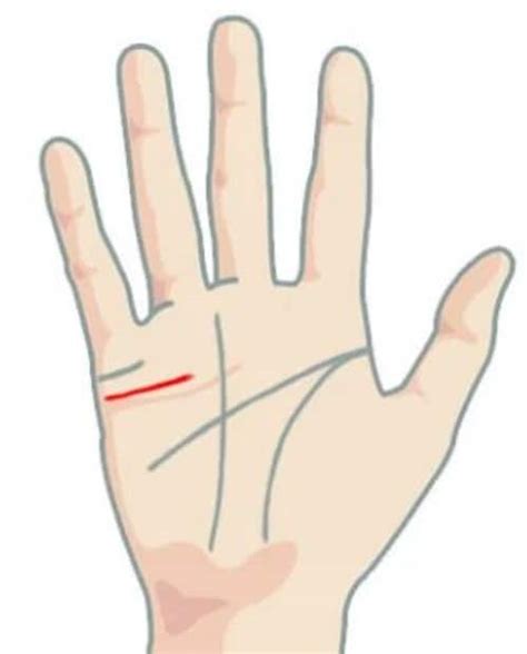 Palmistry: ಅಂಗೈಯಲ್ಲಿನ ಲವ್ ಲೈನ್ ಬಗ್ಗೆ ಗೊತ್ತಾ! | - News18 Kannada