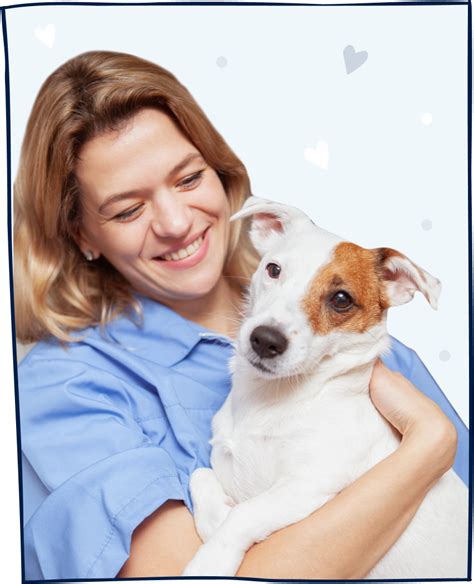 Ezyvet Tutorial Bundle 的图像结果