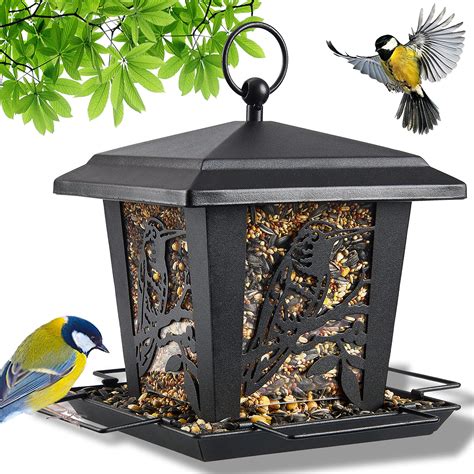 Best Bird Feeder For Sparrows at Michiko Durbin blog
