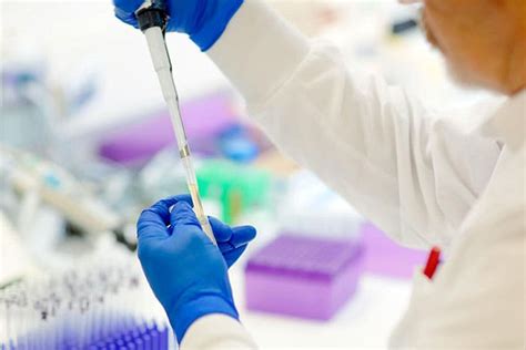 Biomedical Research Training - Mayo Clinic Graduate School of Biomedical Sciences - Mayo Clinic Coll