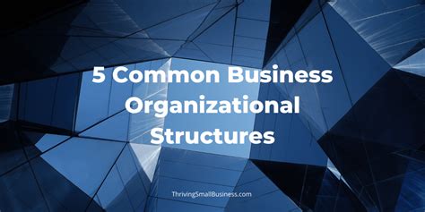 Organization 的图像结果