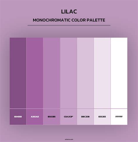 Lilac color palettes - colorxs.com