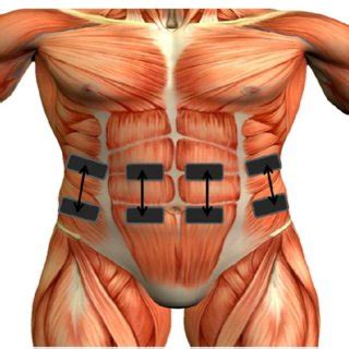 Asia Sci 的图像结果