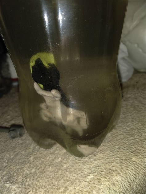 Alien Design Homonculus 的图像结果