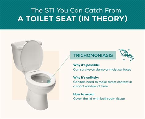 Can Toilet Infection Be Transmitted Sexually? Find Out
