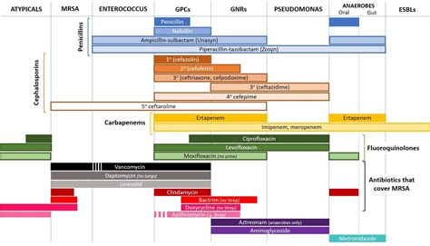 Antibiotics Coverage Chart | Portal.posgradount.edu.pe