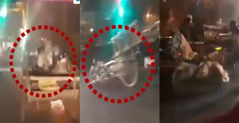horsecart run without rider in gwalior | ક્યારેય જોયું છે આવું દ્રશ્ય ...
