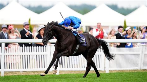 King George tips: Rebel's Romance backed for Ascot glory on the latest ...