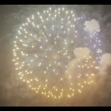 Image result for 16 Fireworks Shell