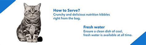 Drools Adult(+1 year) Dry Cat Food, Ocean Fish, 3kg (15% Extra Free ...