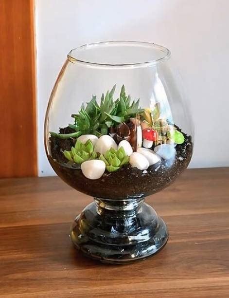 Fish Tanks - Aquariums Online at Best Prices on Flipkart