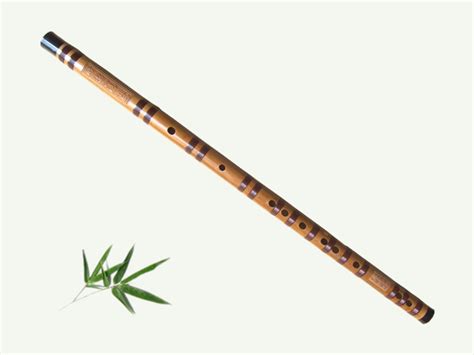 怎样较为系统的学习竹笛（个人练习）？ - 知乎