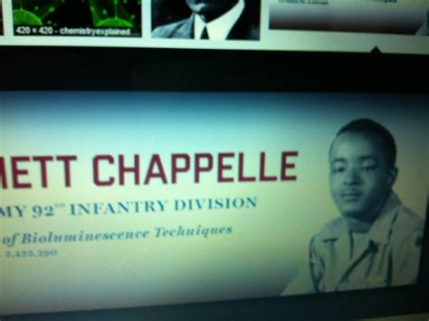 THE BLACK SOCIAL HISTORY:: BLACK SOCIAL HISTORY - AFRICAN AMERICAN ...