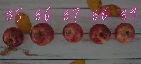 Image result for WSL2 Python Tutorial