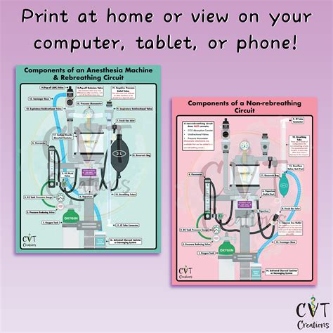 Rebreathing & Non-rebreathing Circuit Diagram Bundle (digital Download ...